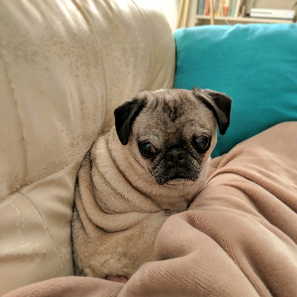 Meet your Posher, Mindy